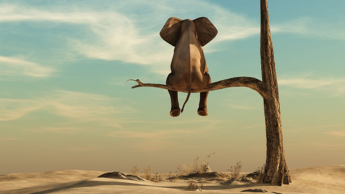 Falsch verliebt und enttäuscht blickt ein Elefant sitzend auf einem Baum in die Wüste