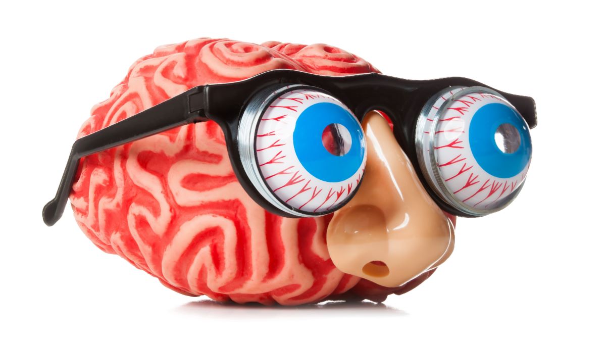 Großbaustelle im Kopf - Die Pubertät aus Sicht der Hirnforschung. Abgebildetes Gehirn mit Brille und Augen